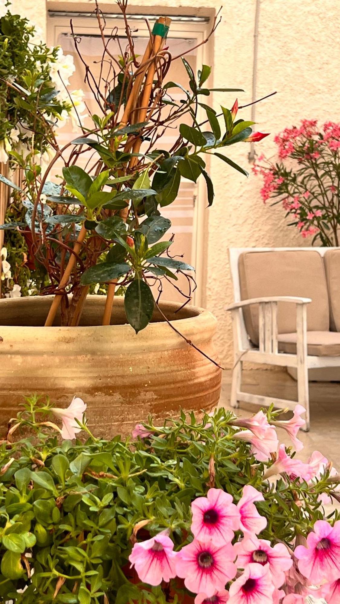 Dimora Donna Vitalia Apartments Trapani Exterior foto